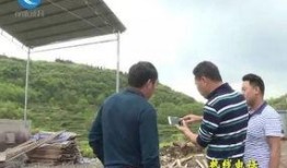 新昌吃瓜最新事件爆料新闻,揭秘背后惊人真相